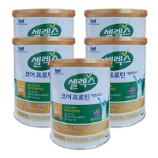 매일유업 단백질 셀렉스 코어프로틴 락토프리 파우더, 304g, 5개