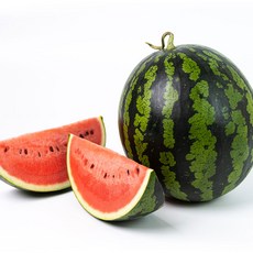 달콤하고 맛있는 고당도 꿀수박, 1개, 2.실속형수박 4-5kg