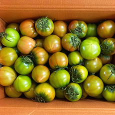대저농원 직송 단맛 짠맛 신맛 짭짤한 대저 토마토 1박스 2.5kg