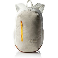 Under Armour 갑옷 롤랜드 배낭