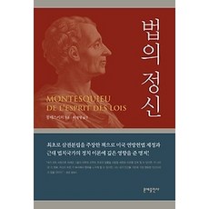 [개똥이네][중고-최상] 법의 정신