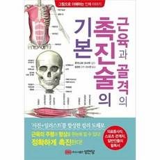 근육과골격의촉진술의기본(그림으로이해하는인체이야기)