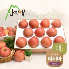 산지애 알뜰 못난이사과(대과) 4kg 2box, 없음, 상세설명 참조