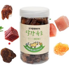 터틀픽스 TOP01