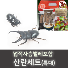 9ffa32c5301abc4279479ca4753b16d43728be1e04ae9227f05f2c13bafe.png