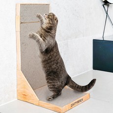 딩동펫 고양이 스크래쳐 벽면형, 혼합 색상, 1개