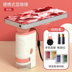 현미경세균표본