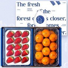 딸기 혼합과일세트 프리미엄 금실딸기 & 귤 과일선물세트 (총 1.6kg내외), 단품