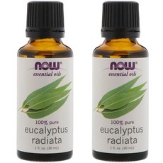 유칼립투스라디아타오일