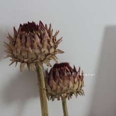 64a01ab108a2d91ec6948e76293a87505085e44e2cb36f78525f0da40d37.jpeg