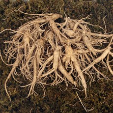 박수근 금산인삼 6년근 파삼 난발삼 원수삼 500g, 1개, 파삼500g