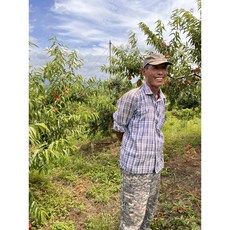 반말랑이복숭아