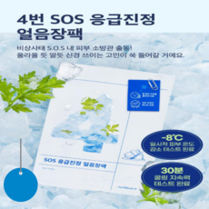 넘버즈인 4번 SOS 응급진정 얼음장팩 10매