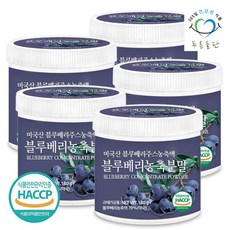 푸른들판 블루베리 농축 분말 가루 180gx5통 열매 파우더, 5개, 180g
