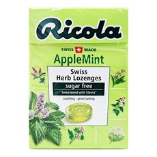 애플이칼라칠판