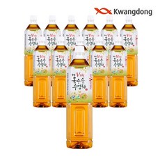 광동제약옥수수수염차1.5l TOP01