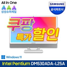 삼성올인원pc