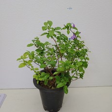 13481e04453d5fe4ff3e8e203c3ef855b512b0123edb0d59019182bacdb8.jpg