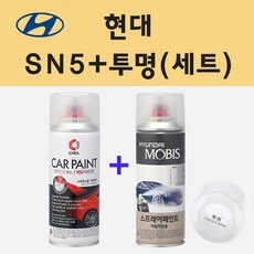 현대 SN5 초콜렛무스 주문 스프레이 페인트 + 투명스프레이