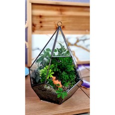 이끼아띠 테라리움(숲으로간낙타 小) 완제품(소14☓11cm)-픽업상품 이끼반려식물 모스테라리움 기학학유리용기 유리정원 유리온실 테라리움용기 클래스문의, 1개