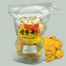 청수생약 국내산 상황버섯150g 실속형, 1개, 150g