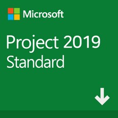 마이크로소프트 Visio Standard 2019 ESD (기업용 영구 다운로드)