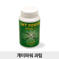 개미파워 250g 과립형 개미약 개미유인제 제거제 퇴치제 여왕개미 살충, 1개