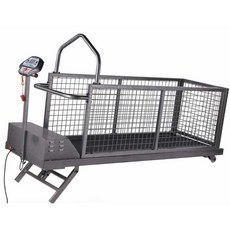 강아지 런닝머신 트레드밀 속도 조절 재활훈련 운동