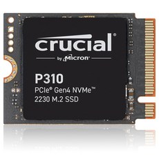 마이크론 Crucial P310 M.2 2230 NVMe 아스크텍, 1TB