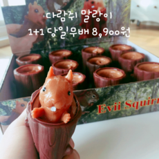 대전언니 [1+1당일무배] 다람쥐 말랑이 팝잇 스트레스볼 틱톡 팝잇 심쿵란