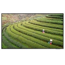 삼성전자 4K UHD QLED TV 163cm 방문설치