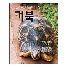 씨밀레북 거북이, 1개