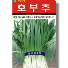 호부추