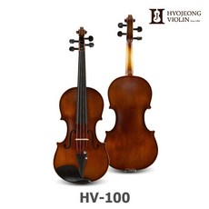 효정hv100