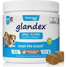 Glandex Anal Gland Soft Chew Treats with Pumpkins for Dogs 60ct Chews with Digestive Enzymes Probiotics Fiber Supplement for Dogs - Vet Recommended -, 1개
