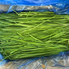 향긋함이 일품 부추, 1박스, 4kg
