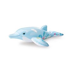 뉴돌고래라이드온