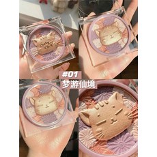 에스쁘아컨투어파우더