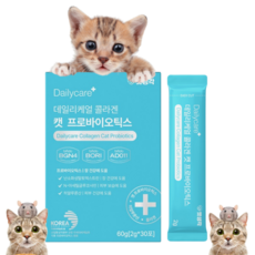 펫생각 고양이 전용 특허받은 유산균 면역력 프로바이오틱스 히알루론산 피부 콜라겐 장 건강 영양제, 무향무취, 면역력강화 피부/털개선 변비개선, 3개