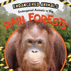 (영문도서) Endangered Animals in the Rain Forest Library Binding, PowerKids Press, English, 9781725336247
