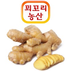 꾀꼬리농산 프리미엄 봉동생강 깐생강 20kg, 1개