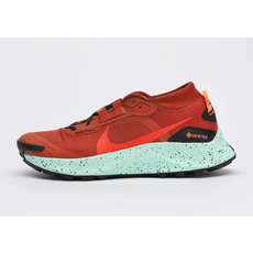 나이키페가수스트레일3