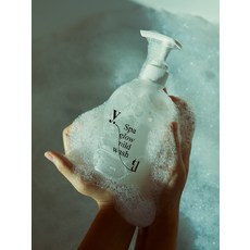 Ytd 향기 좋은 바디워시 약산성 스파 시트러스 우디향 400g, ytd Body Wash 400g