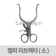 일렉타