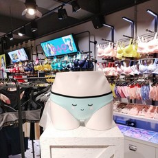 예스 민트 포인트 면스판팬티 YSWPW651