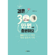 스드메300만원