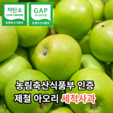 [당도12브릭스이상] 마미템 껍질째 먹는 씻은 사과 2kg 3kg 5kg 경북 gap 고당도 세척사과 소과 중과 대과, 5kg(27-33개입), 1개