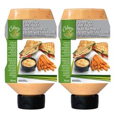 컬리너리 트레저 할라피뇨 라임 아이올리 딥핑 소스 Culinary Treasures Jalapeno Lime Aioli Dipping Sauce, 750ml, 2개