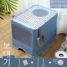 반려동물기초아로마강사