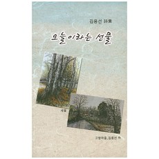 오늘이라는 선물:김용선 시집, 노트북